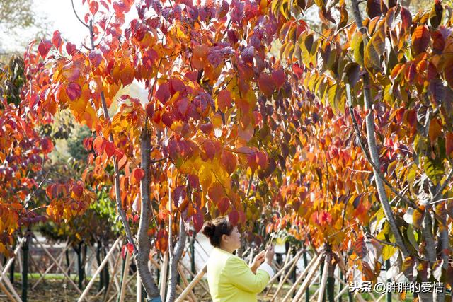 看到的世界就是你内心的样子(用一只眼看世界)(5)