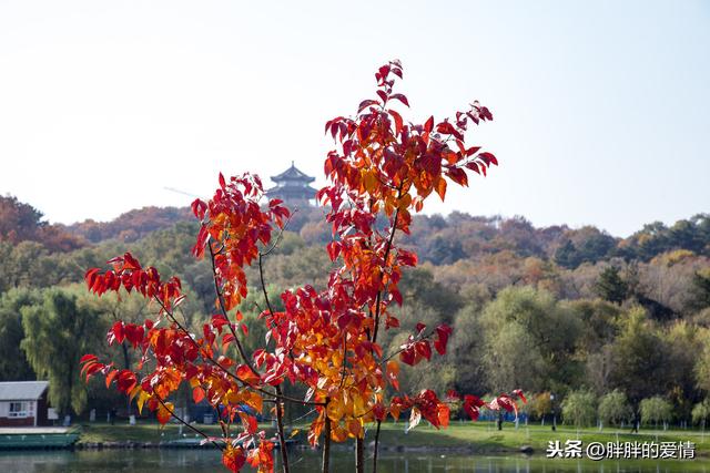 看到的世界就是你内心的样子(用一只眼看世界)(6)