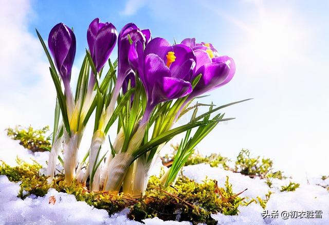 冬至节气七言诗(冬至节气哲理诗六首赏析)(7)