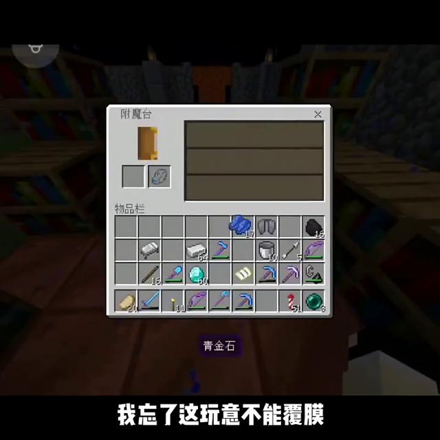 手机版的我的世界（我的世界）(4)