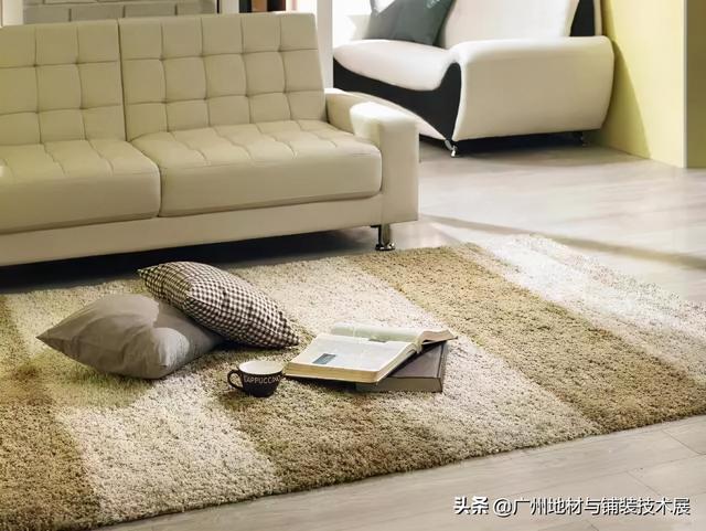 地毯材质多样但是哪种最棒(地毯材质多样但是哪种最棒)(6)