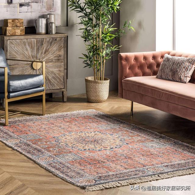 大的地毯买了有用吗(用过的人基本都会劝不用买太贵)(4)