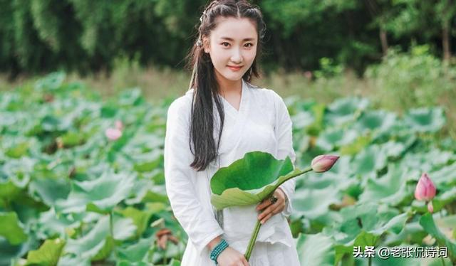 唐代最经典的一首禅意诗(一阵风吹过荷塘)(3)