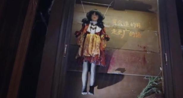 歌手群星个人资料(群星加盟高能不断)(5)