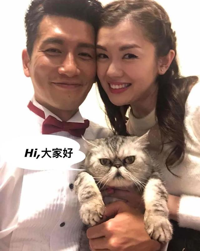40岁前tvb当家小生（53岁TVB不老男神曾惨做亚姐观音兵）(24)