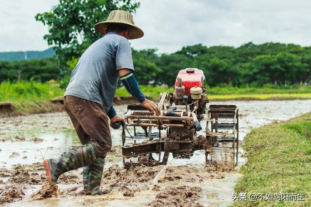 为了省钱儿子出车祸（儿子出车祸父母分文不掏）(2)