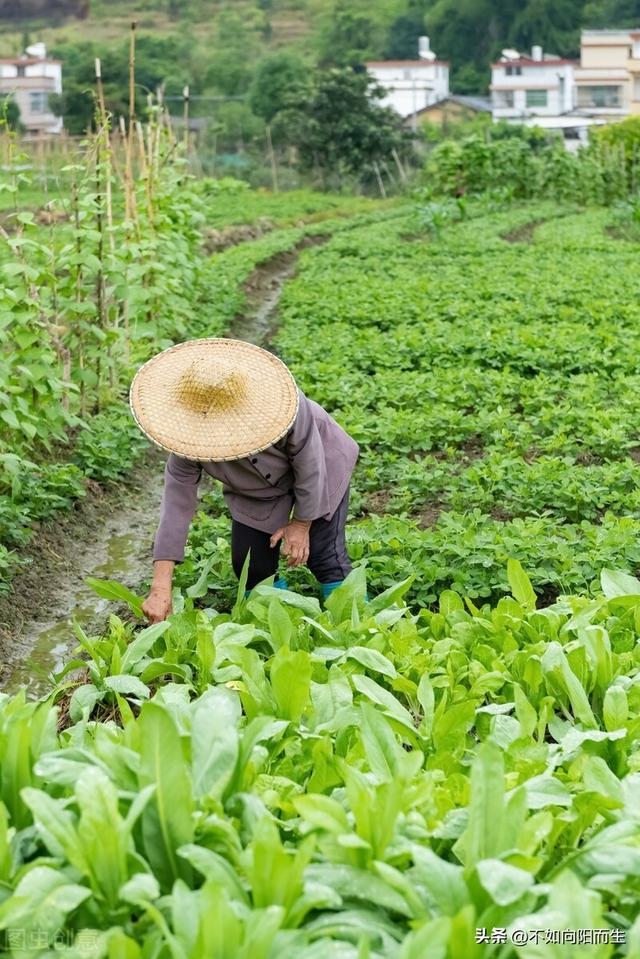 为了省钱儿子出车祸（儿子出车祸父母分文不掏）(5)