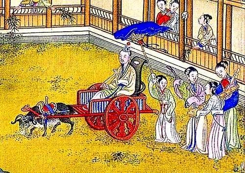 小尾寒羊多大为成羊（羊车望幸羊车）(4)