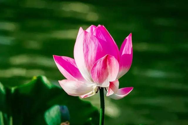 五十多岁还能练成心意六合拳吗（山西常有心意六合肘十八式1）(24)