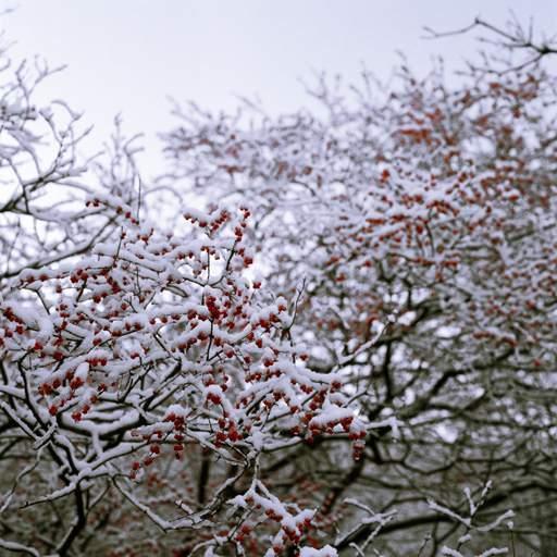 辽宁本溪十大特色小吃（舌尖上的东北抚顺）