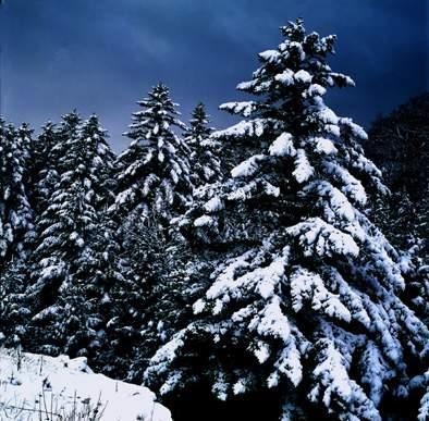 辽宁本溪十大特色小吃（舌尖上的东北抚顺）