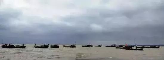 鄱阳湖有哪些好吃的特产（鄱阳湖开渔节美味湖鲜）