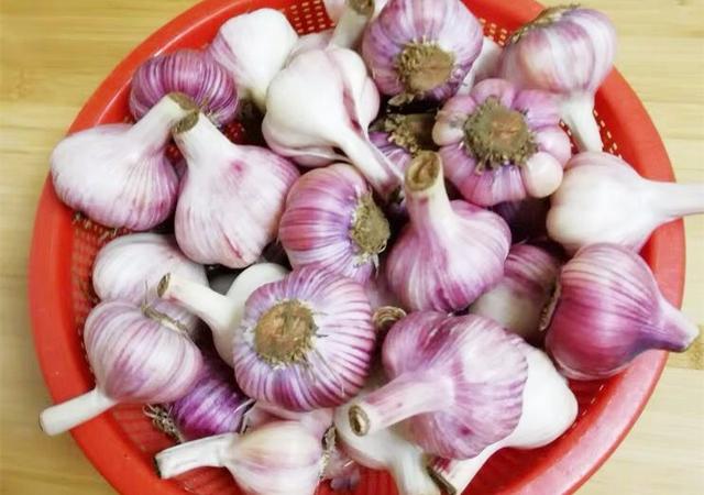 怎么腌糖醋蒜放的时间长（直接加醋就错了）