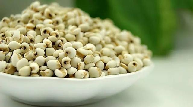 薏仁怎么做才能祛湿热（祛不了湿别怪薏仁）