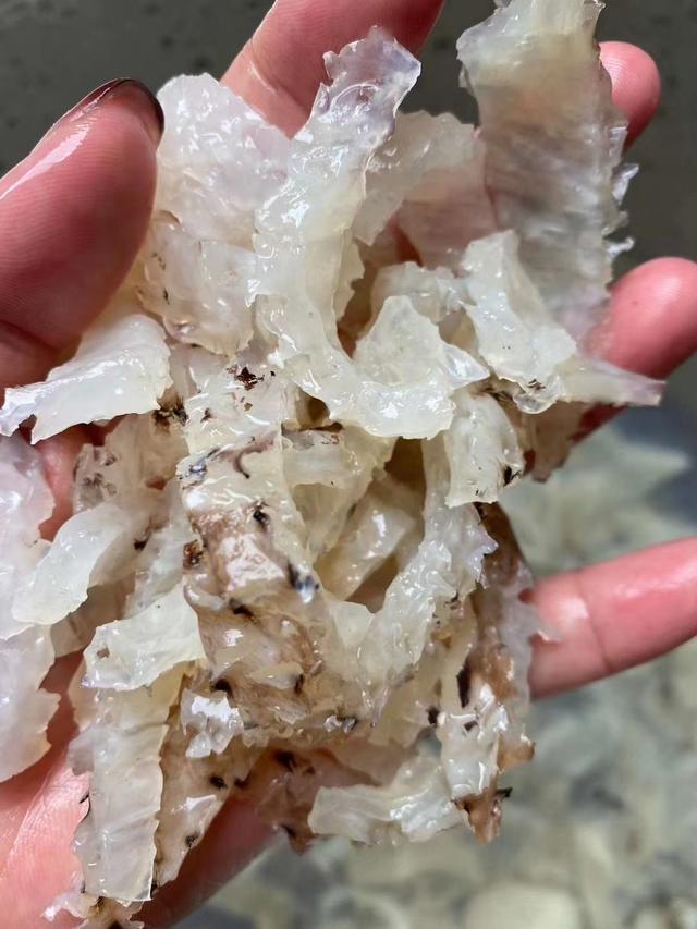 胶原蛋白汤的做法大全大图（这好货煲汤胶原蛋白满满）