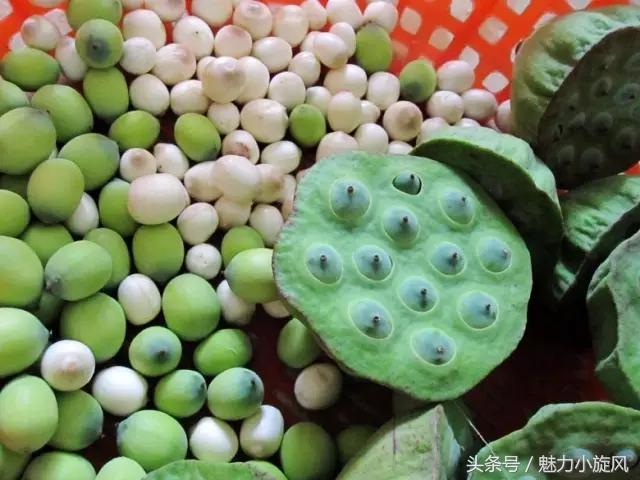 什么样的豆子能煮烂（这几种这豆子轻轻松松煮烂）