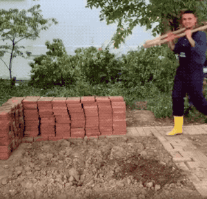 tiktok有三餐吗（Tok有哪些有意思的美食博主）