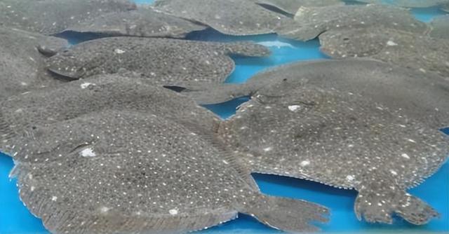 希腊特色食物有哪些（浅析地中海三样美食）