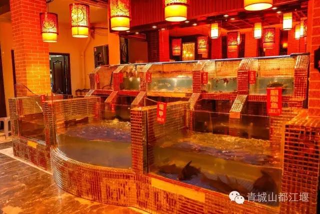 都江堰必吃十大馆子排名（水灵妹探店好吃不贵）