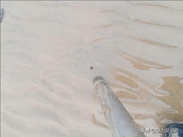 青岛小海虾怎么吃（青岛有一道美食真鲜）