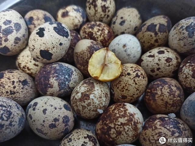 空气炸锅可以做的美食无需腌制（有甜有咸有花样）