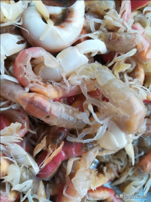 青岛小海虾怎么吃（青岛有一道美食真鲜）
