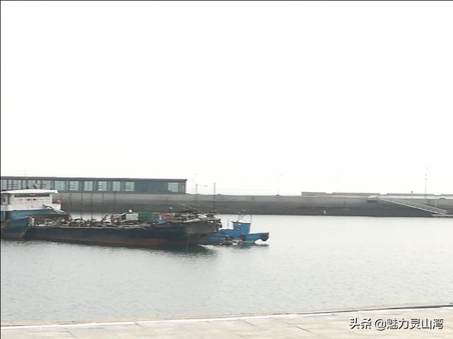 青岛小海虾怎么吃（青岛有一道美食真鲜）