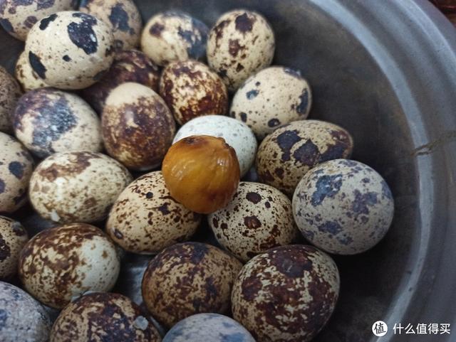 空气炸锅可以做的美食无需腌制（有甜有咸有花样）