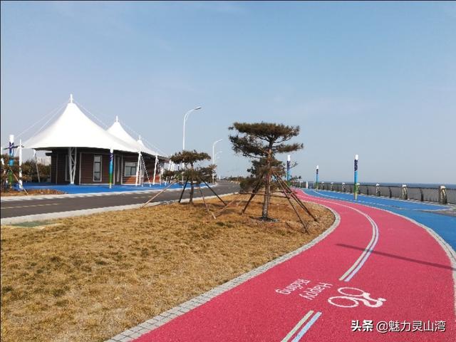 青岛小海虾怎么吃（青岛有一道美食真鲜）