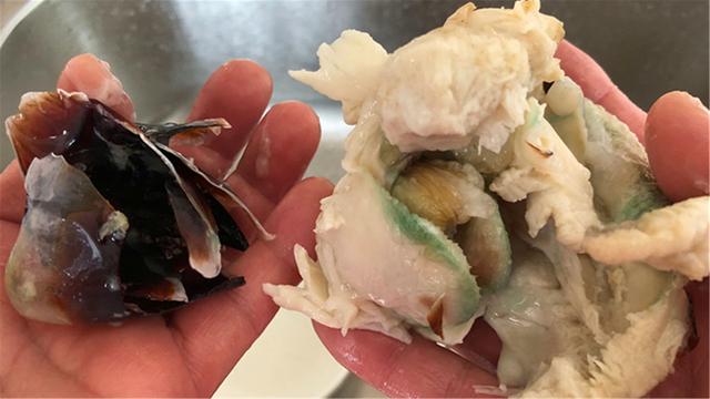 哪些肉可以纯颗粒养（遇到此肉别错过）